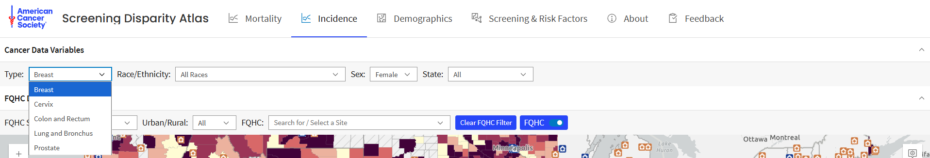 Expanded view of Incidence Map Query Panel (Cancer Type)